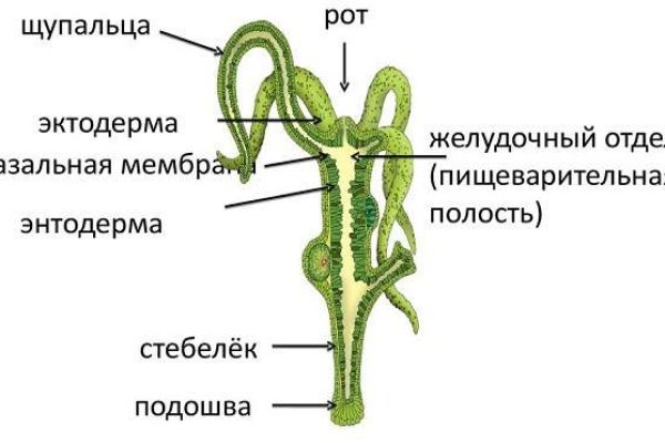 Сайт кракен kraken krakens15 at