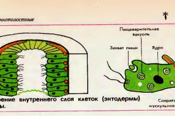 Что продают на кракене