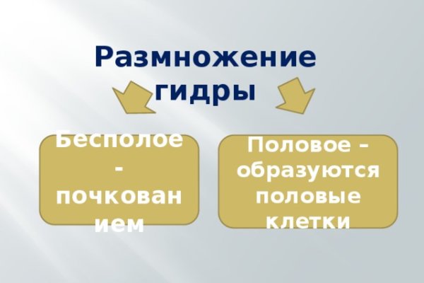Ошибка на кракене